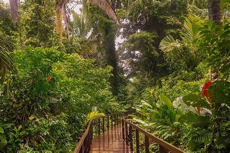 best time to visit costa rica rainforest